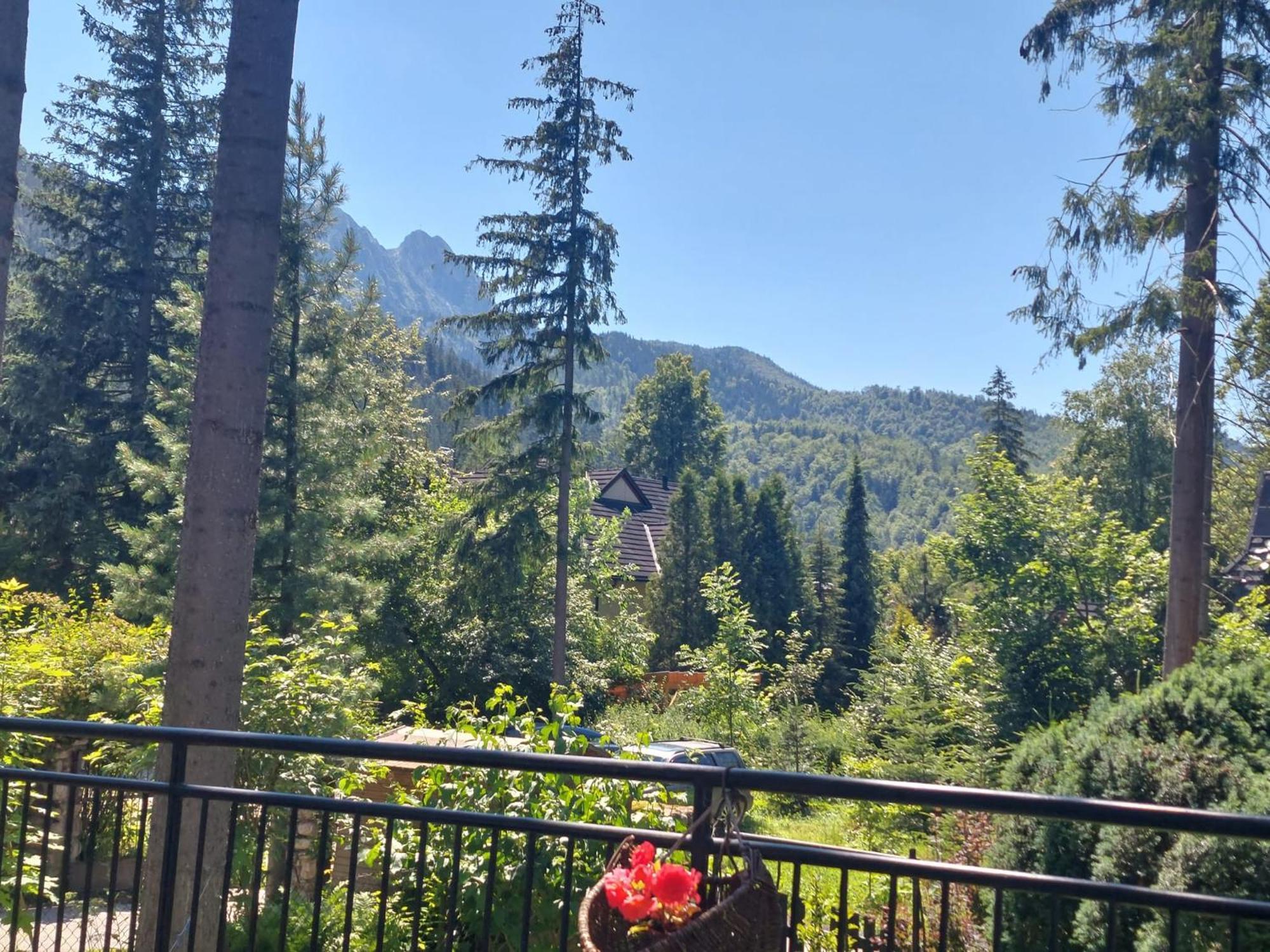 Dom Pod Skocznia Ubytovanie v rodine Zakopane
