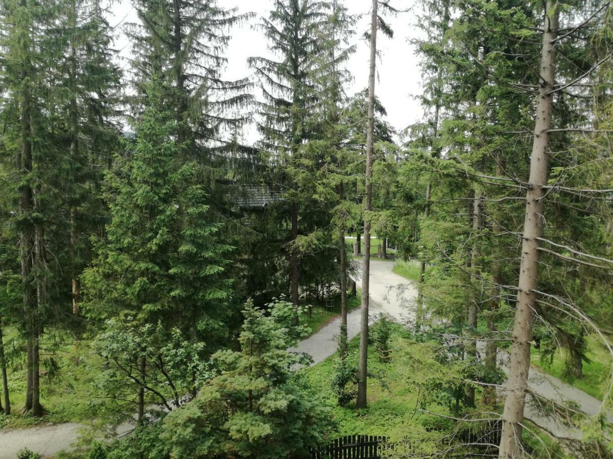 Dom Pod Skocznia Zakopane