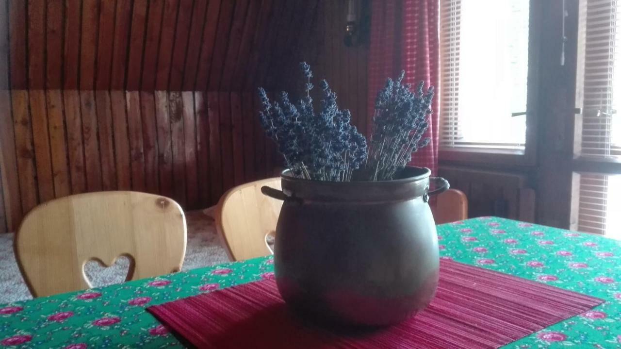 Dom Pod Skocznią Kwatera prywatna *