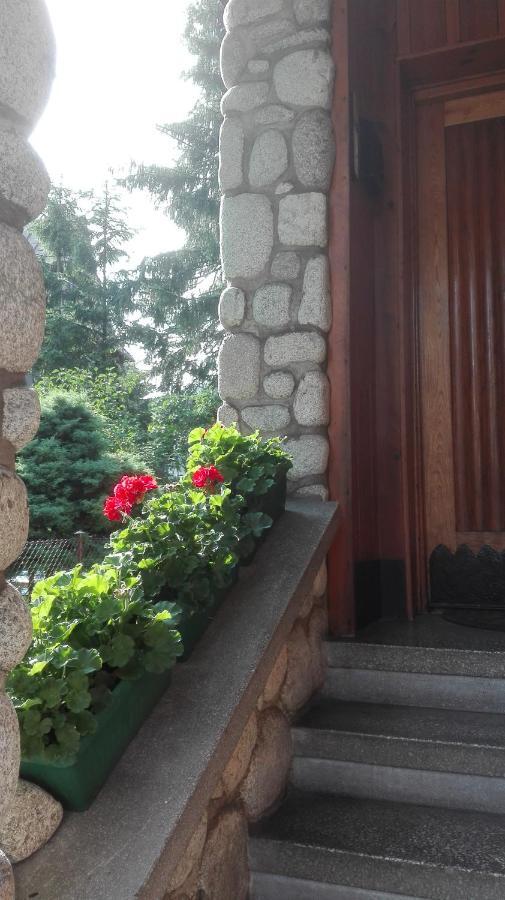 Ubytovanie v rodine Dom Pod Skocznia Zakopane